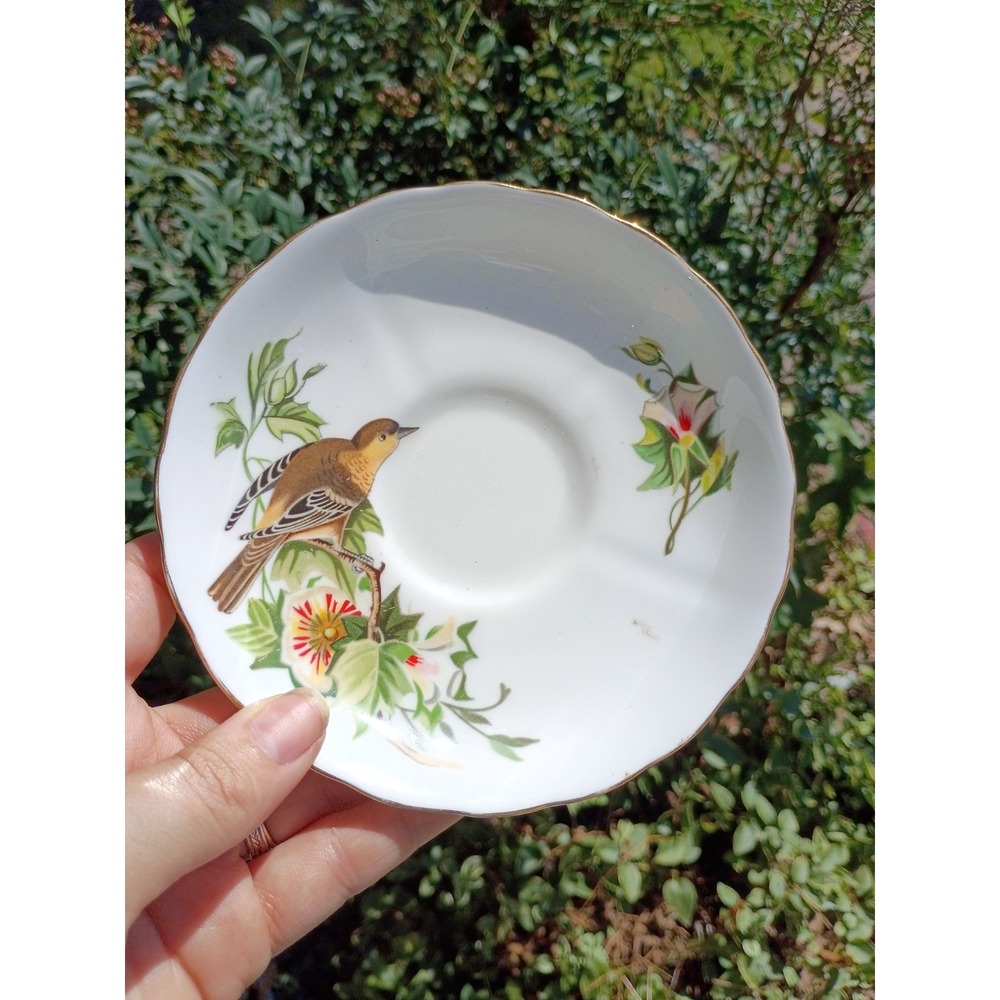 Tuscan Audubon Birds Baltimore Oriole  Bone China Saucer only - NO CUP